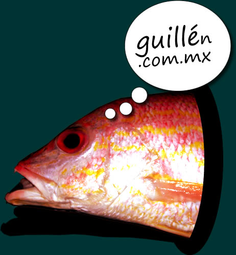 guillen.com.mx